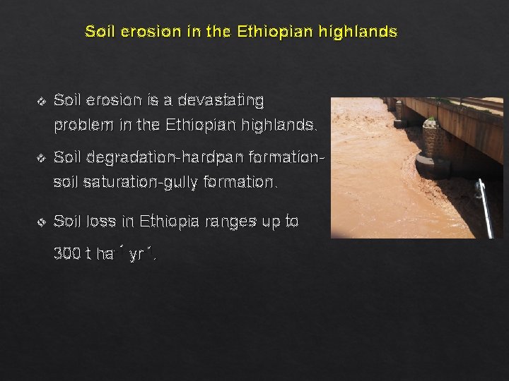 Soil erosion in the Ethiopian highlands v Soil erosion is a devastating problem in