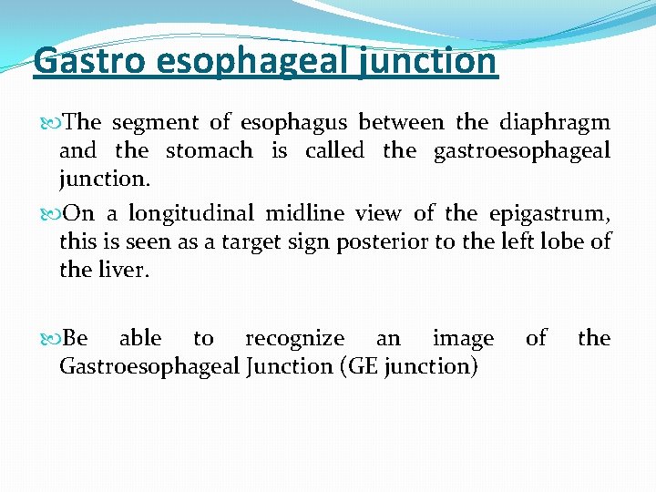 Gastro esophageal junction The segment of esophagus between the diaphragm and the stomach is Gastro esophageal junction The segment of esophagus between the diaphragm and the stomach is
