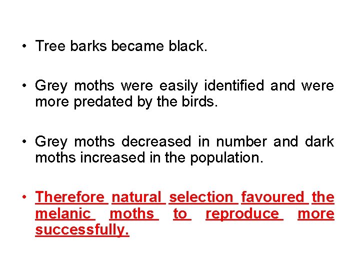  • Tree barks became black. • Grey moths were easily identified and were