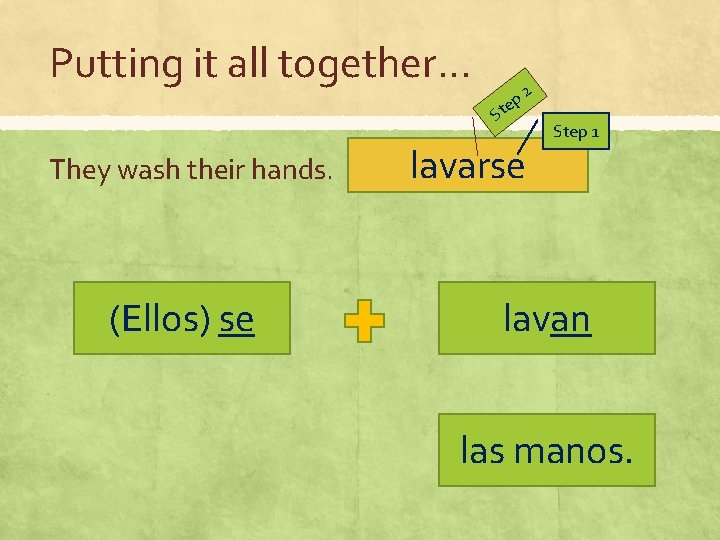 Putting it all together… p te 2 S They wash their hands. (Ellos) se