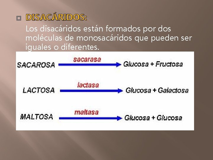  DISACÁRIDOS: Los disacáridos están formados por dos moléculas de monosacáridos que pueden ser