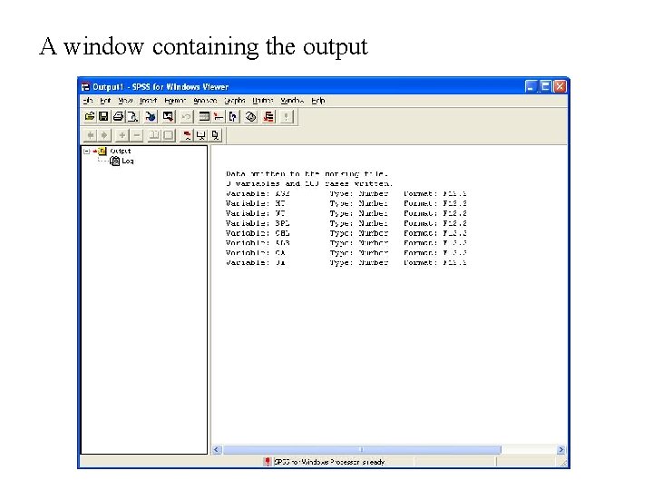 A window containing the output 