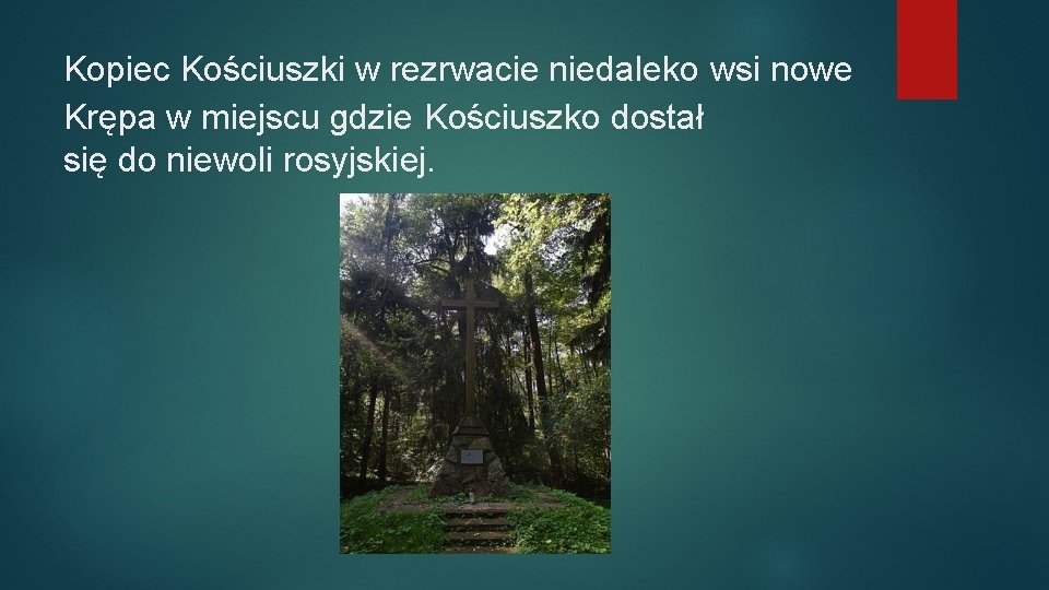 Kopiec Kościuszki w rezrwacie niedaleko wsi nowe Krępa w miejscu gdzie Kościuszko dostał się