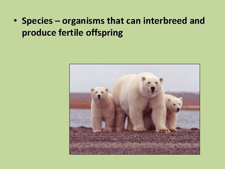  • Species – organisms that can interbreed and produce fertile offspring 