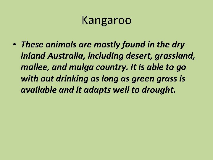 Kangaroo • These animals are mostly found in the dry inland Australia, including desert,