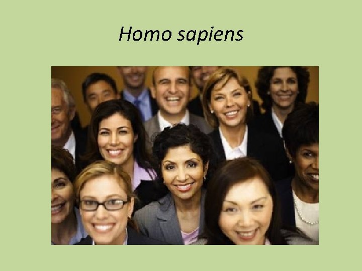 Homo sapiens 