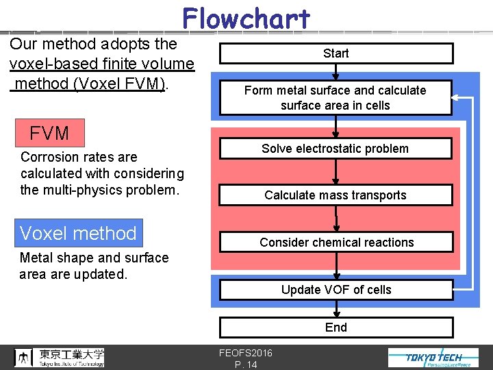 Flowchart Our method adopts the voxel-based finite volume method (Voxel FVM). FVM Corrosion rates