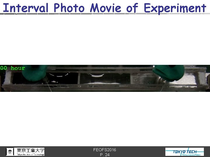 Interval Photo Movie of Experiment FEOFS 2016 P. 24 