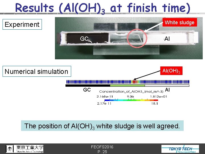 Results (Al(OH)3 at finish time) White sludge Experiment GC Al Numerical simulation Al(OH)3 p.