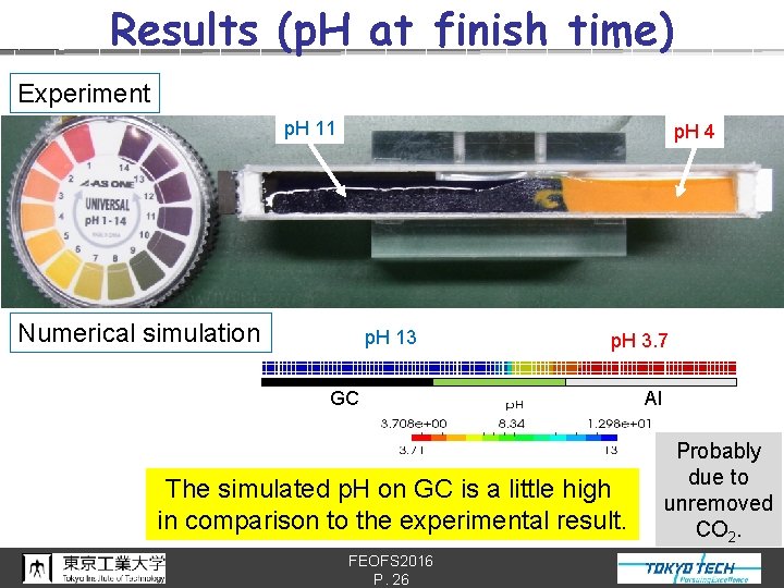 Results (p. H at finish time) Experiment p. H 11 p. H 4 Numerical