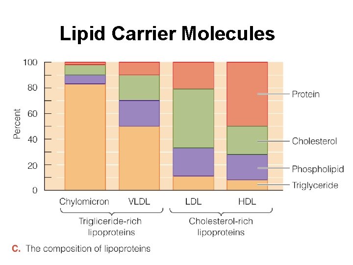 Lipid Carrier Molecules 