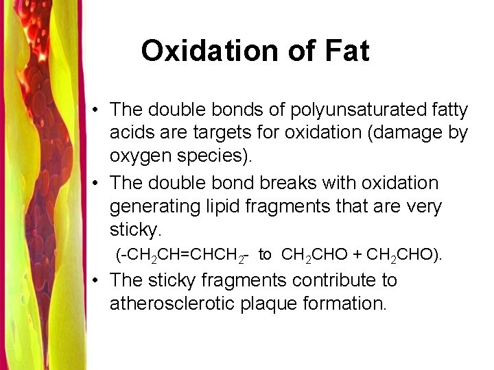 Oxidation of Fat • The double bonds of polyunsaturated fatty acids are targets for