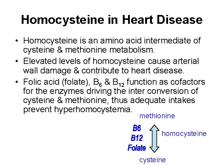 Homocysteine in Heart Disease • Homocysteine is an amino acid intermediate of cysteine &