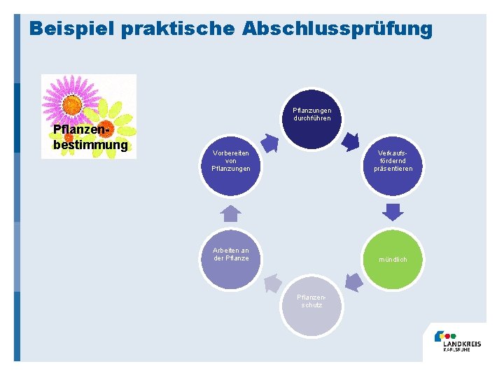 Beispiel praktische Abschlussprüfung Pflanzungen durchführen Pflanzenbestimmung Vorbereiten von Pflanzungen Verkaufsfördernd präsentieren Arbeiten an der