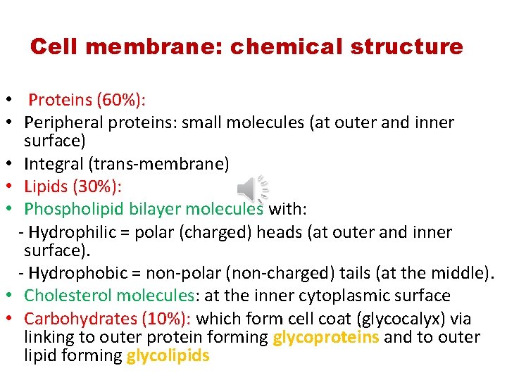 Cell membrane: chemical structure • Proteins (60%): • Peripheral proteins: small molecules (at outer
