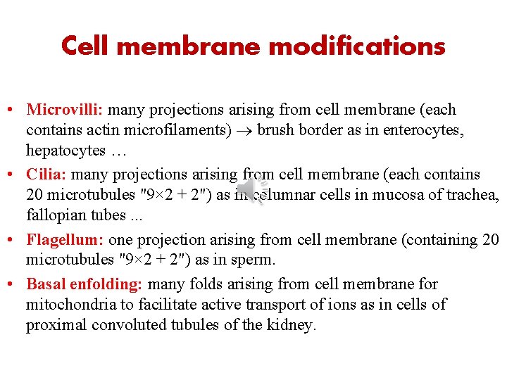 Cell membrane modifications • Microvilli: many projections arising from cell membrane (each contains actin