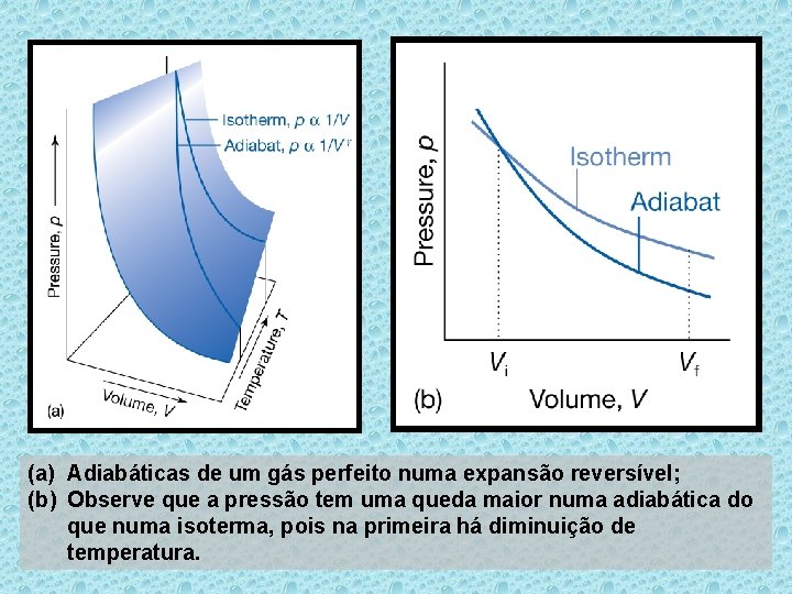 (a) Adiabáticas de um gás perfeito numa expansão reversível; (b) Observe que a pressão