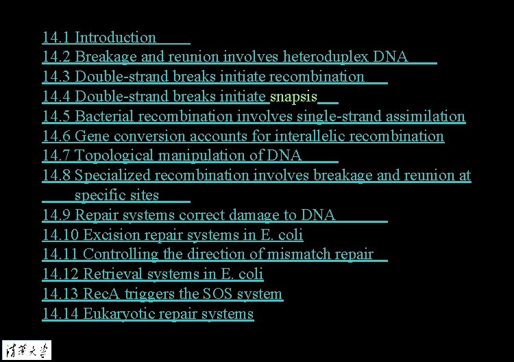 14. 1 Introduction 14. 2 Breakage and reunion involves heteroduplex DNA 14. 3 Double-strand