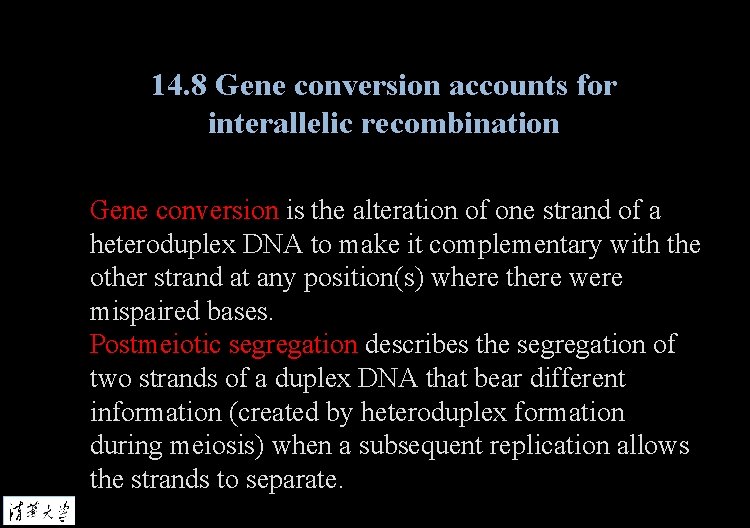 14. 8 Gene conversion accounts for interallelic recombination Gene conversion is the alteration of