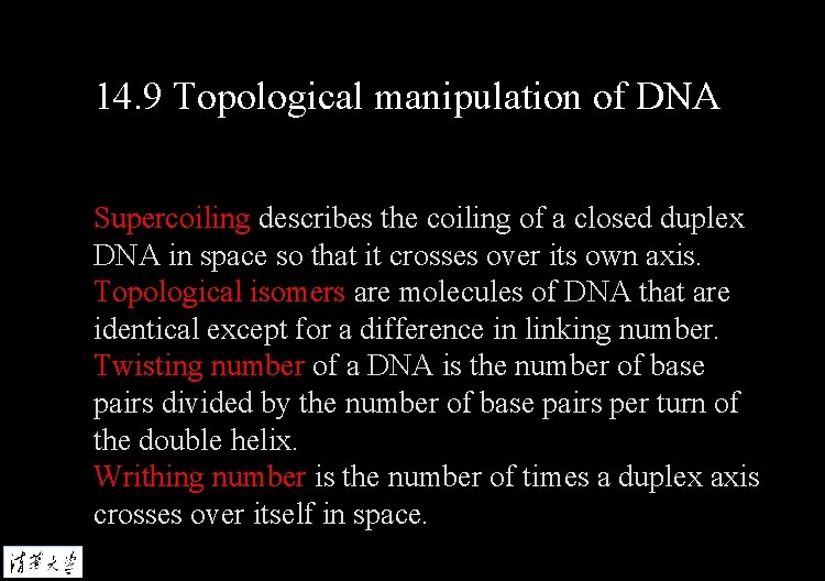 14. 9 Topological manipulation of DNA Supercoiling describes the coiling of a closed duplex