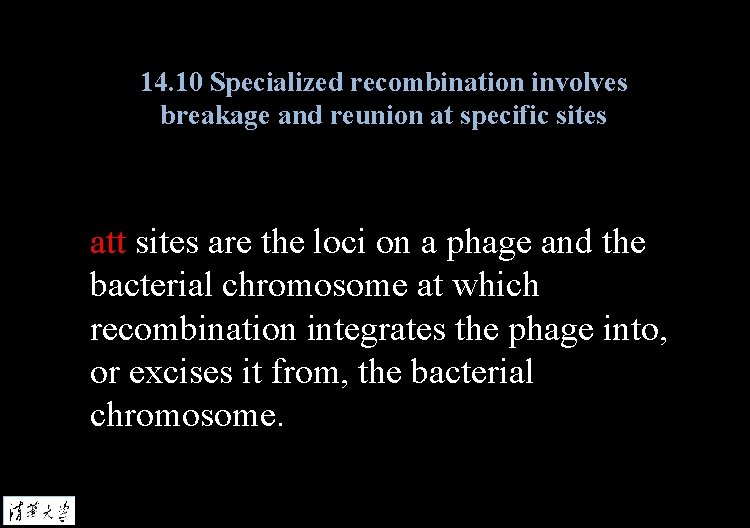 14. 10 Specialized recombination involves breakage and reunion at specific sites att sites are