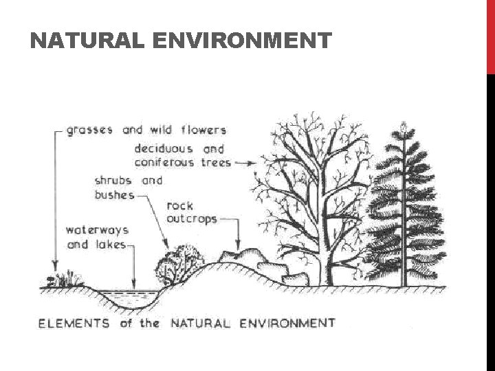 NATURAL ENVIRONMENT 