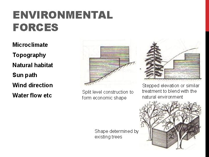 ENVIRONMENTAL FORCES Microclimate Topography Natural habitat Sun path Wind direction Water flow etc Split