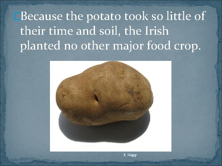 �Because the potato took so little of their time and soil, the Irish planted