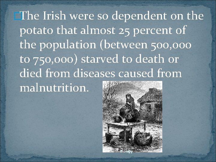 �The Irish were so dependent on the potato that almost 25 percent of the