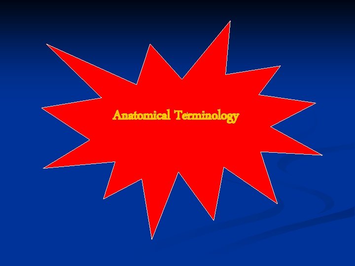 Anatomical Terminology 