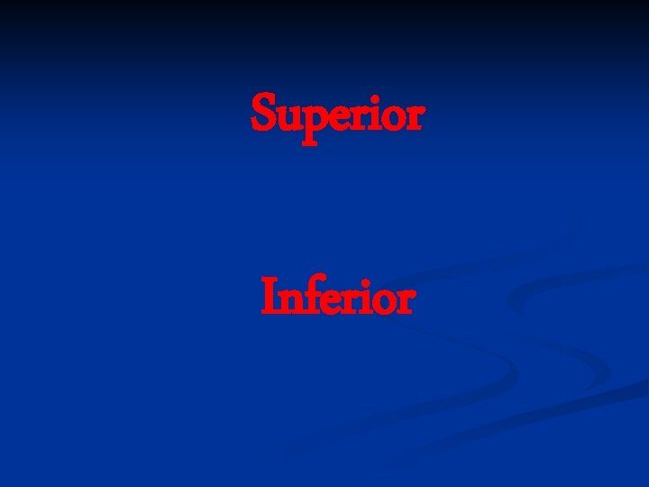 Superior Inferior 