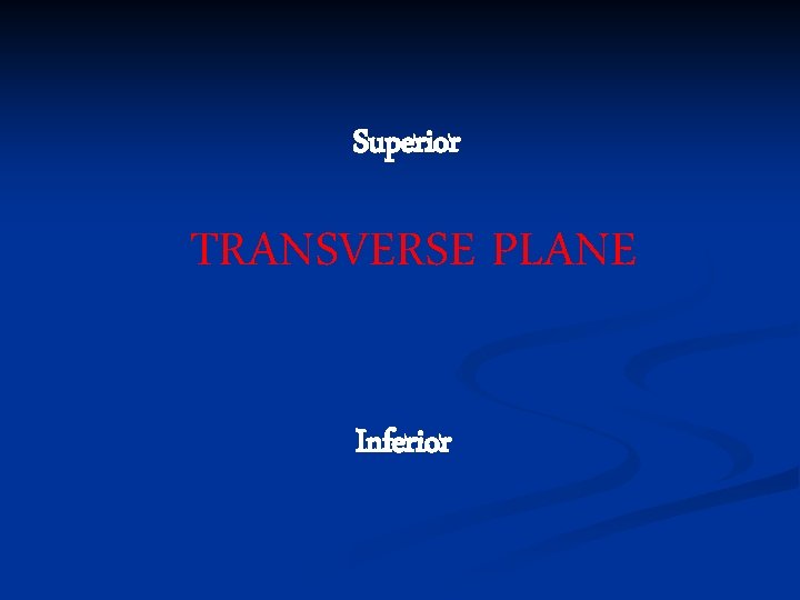 Superior TRANSVERSE PLANE Inferior 