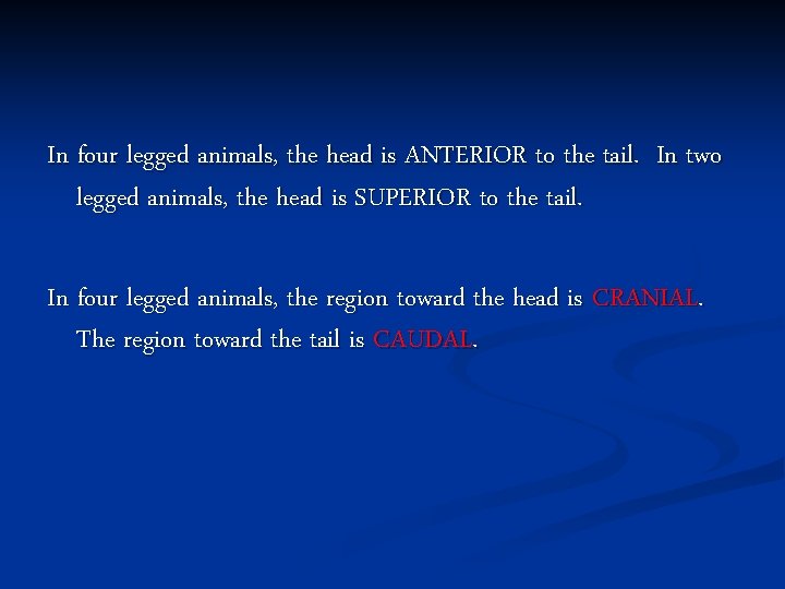 In four legged animals, the head is ANTERIOR to the tail. In two legged