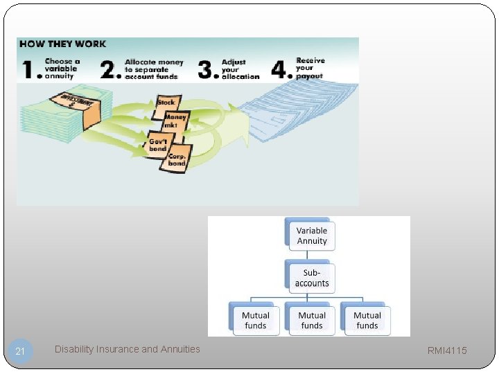 21 Disability Insurance and Annuities RMI 4115 