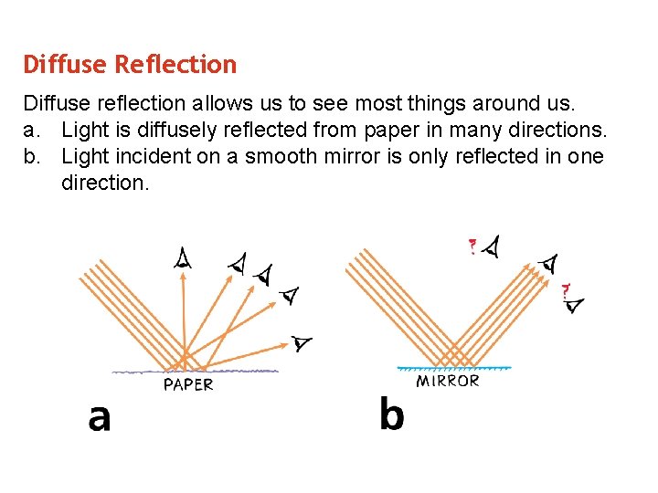 Diffuse Reflection Diffuse reflection allows us to see most things around us. a. Light