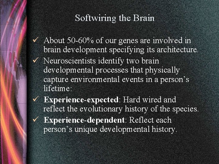 Softwiring the Brain ü About 50 -60% of our genes are involved in brain