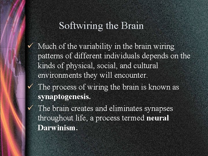 Softwiring the Brain ü Much of the variability in the brain wiring patterns of