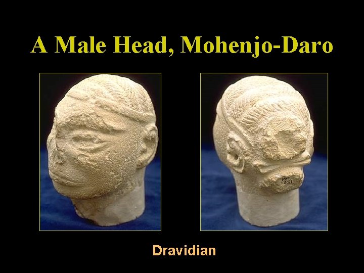 A Male Head, Mohenjo-Daro Dravidian 