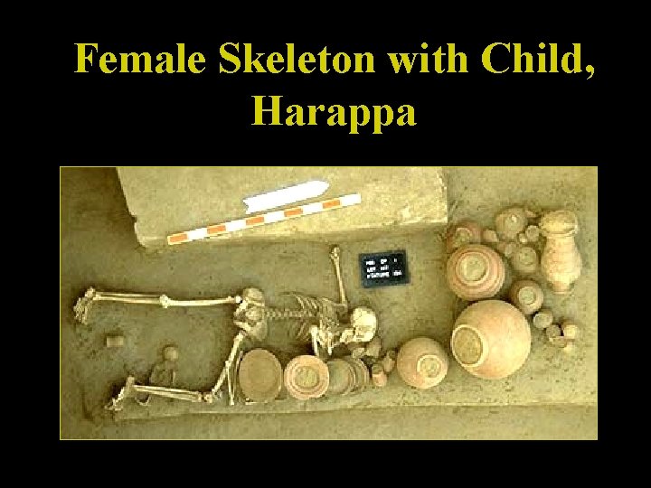 Female Skeleton with Child, Harappa 