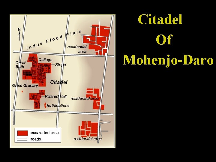 Citadel Of Mohenjo-Daro 