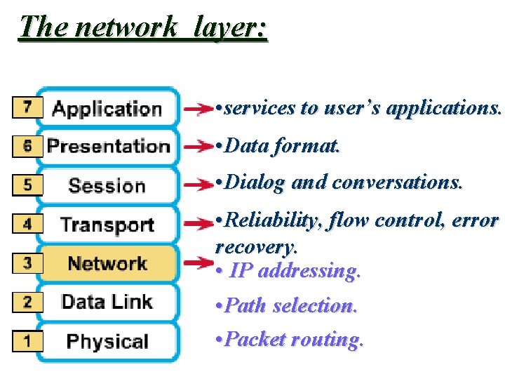 The network layer: • services to user’s applications. • Data format. • Dialog and The network layer: • services to user’s applications. • Data format. • Dialog and