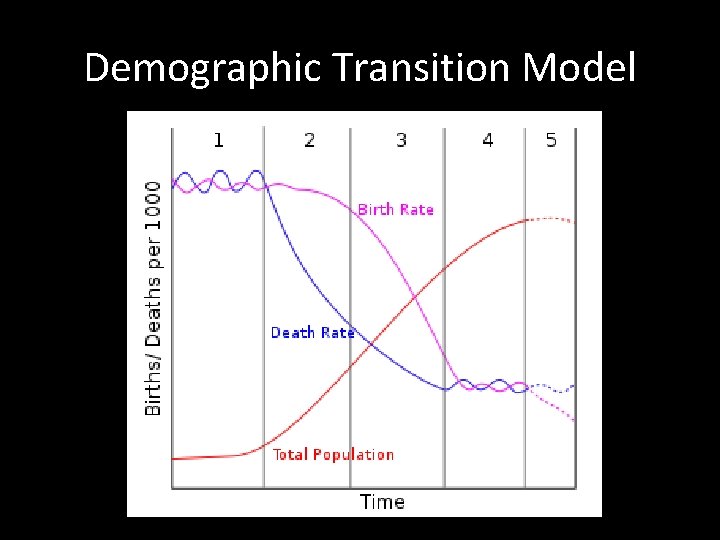 Demographic Transition Model 