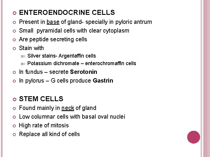  ENTEROENDOCRINE CELLS Present in base of gland- specially in pyloric antrum Small pyramidal