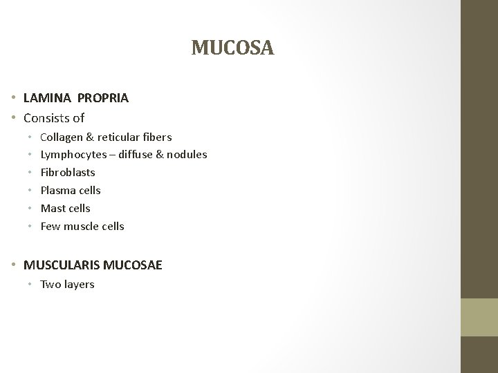 MUCOSA • LAMINA PROPRIA • Consists of • • • Collagen & reticular fibers