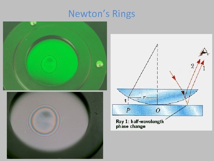 Newton’s Rings 