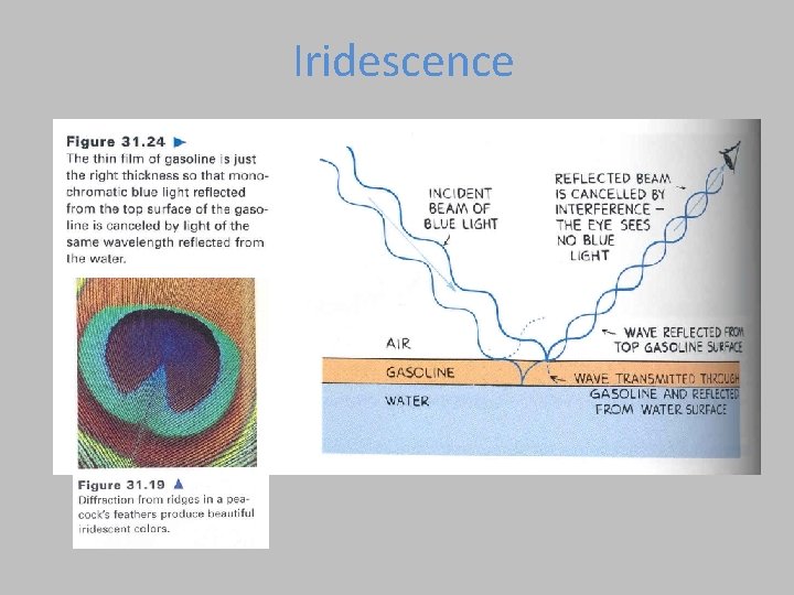 Iridescence 