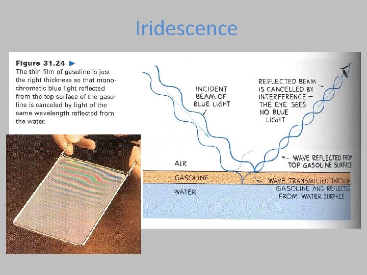 Iridescence 