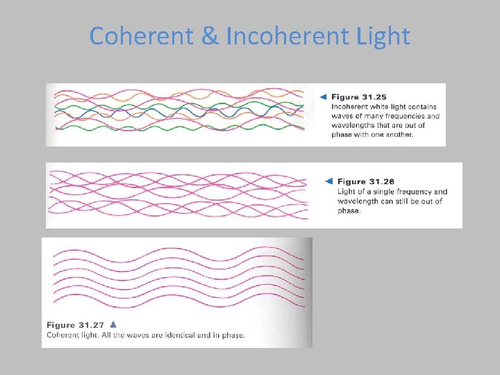 Coherent & Incoherent Light 