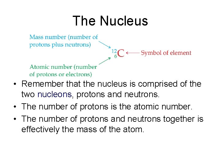 The Nucleus • Remember that the nucleus is comprised of the two nucleons, protons