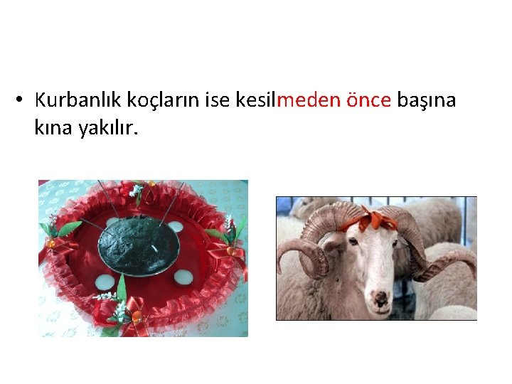  • Kurbanlık koçların ise kesilmeden önce başına kına yakılır. 